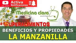 Manzanilla, beneficios y propiedades de las infusiones de manzanilla | Medicina Clara