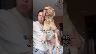 Ну хіба не син? 🐶