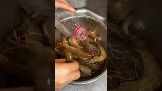 大蝦的保存方法