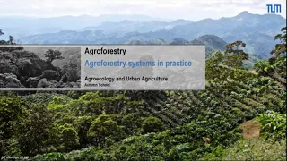 Agroforestry systems in practice - Peter Annighöfer