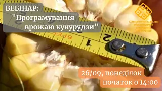 Вебінар "Програмування врожаю кукурудзи"