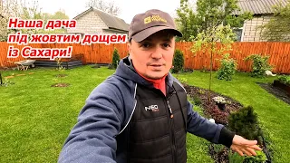 Наша дача під жовтим дощем із Сахари! Влогове відео, квітень 2024.