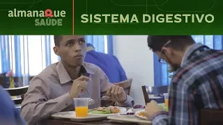 Sistema Digestivo - Almanaque Saúde - Canal Futura