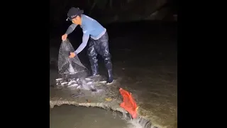 Unbelievable Fishing Technique , Really Catching & Catfish in the River,Fisherman Fishing A lot Fish