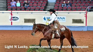 2017 AQHA Senior Ranch Riding