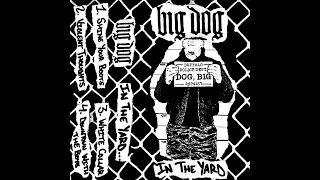 BIG DOG Oi! - IN THE YARD (2023)