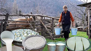 Cheese Different from Fresh Milk in the Village! - How to make Homemade Cheese?