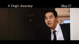 A Dog's Journey (2019) - Official Movie Trailer with Henry (헨리)