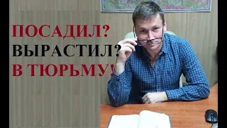 ⛔ 🌲 🌳 🌿 Посадил! Вырастил? В тюрьму! За выращивание каких растений предусмотрена ответственность…