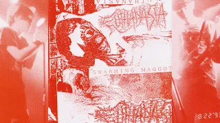 Euthanasia - Demos And Rehearsals 1992-1993 [Full Compilation] Death Metal Grindcore