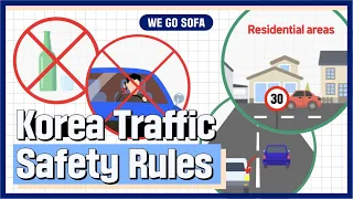 Traffic Rules in Korea | 한국에서 운전할 때 꼭 알아야 할 10 가지 꿀팁 요약편🍯