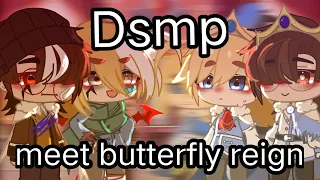 •|Dsmp meet Butterfly Reign au|• part 1