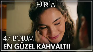 Reyyan, Miran için kahvaltı hazırlıyor!  - Hercai 47. Bölüm