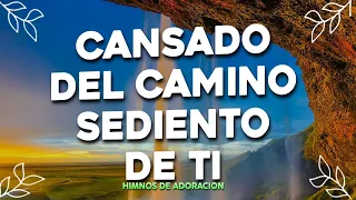 CANSADO DEL CAMINO - Mezcla De Alabanzas De Adoración Mix - Musica Cristiana Sumergeme y Mas..