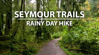 Rainy Relaxing Virtual Walk through the Lower Seymour Conservation Reserve, North Vancouver Canada