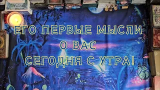 Его первые мысли о Вас сегодня с утра! 🔮🪬✨️🪄🎈🍀🦋