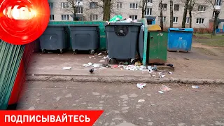 Дело «барановичского мясника»: ⁣в мусорных контейнерах найдены фрагменты человеческого тела