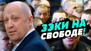 Первые Вагнеровцы вышли на свободу после участия в войне - Ольга Романова