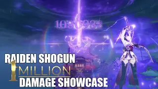 Raiden Showcase | 1 Million Damage???