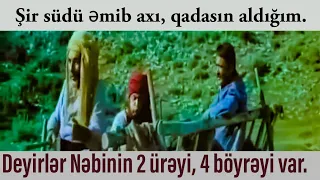 Arabaçı Nəbini Tanımır - Qaçaq Nəbi Filmi