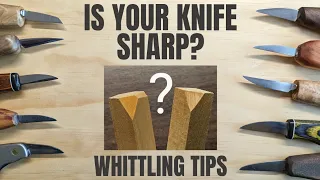 How to Tell if Your Knife is Sharp - Whittling Tips