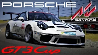 Assetto Corsa: пробуем на вкус Порш - онлайн гонка!