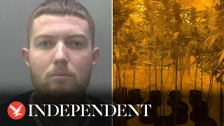 Drug dealer sobs as police raid house and find £173,000 cannabis factory: 'I'm so sorry'