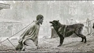 شخص شجاع بيحاول يهرب من سجن العبيد وبيخاطر بحياته علشان يكسب حريته .. ملخص فيلم Emancipation