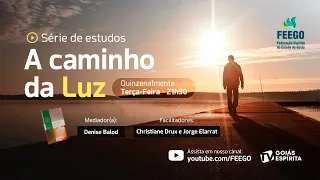 25) A Caminho da Luz-A Caminho da Luz–cap. XXI–Época de transição - Christiane Drux e Jorge Elarrat