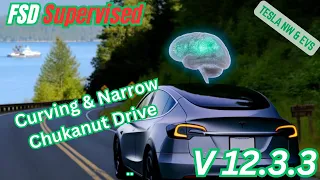 Amos Takes on Chuckanut: A Scenic Drive with Tesla FSD 12.3.3! Plus Laughs, MEMEs, & GIFs.