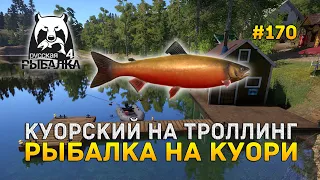 Куорский на Троллинг. Рыбалка на Куори - Русская Рыбалка 4 #170