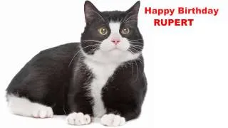 Rupert  Cats Gatos - Happy Birthday