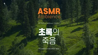 나는 초록으로 죽어가고 있구나🌙어둡고 안온한 음악과 빗소리 [초록의 죽음] asmr 앰비언스