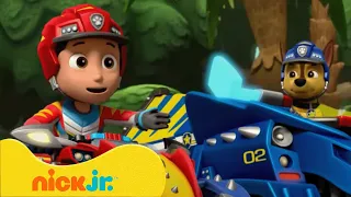 PAW Patrol | Die besten DINOSAURIER-Rettungsmissionen bei PAW Patrol! 🦕 | Nick Jr. Deutschland