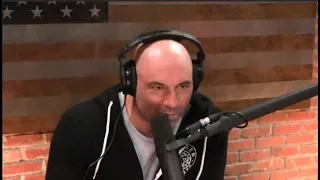 Joe Rogan on Chemtrails