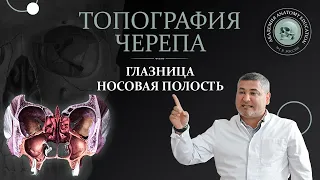 Топография черепа. Глазница. Носовая полость. Крылонёбная ямка