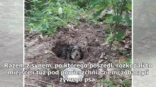 Pies zakopany żywcem w lesie. Policja prosi o pomoc