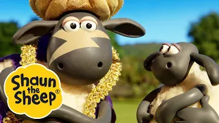 Happy Birthday Timmy! / The Genie | 2 x Episodes | Shaun the Sheep S4