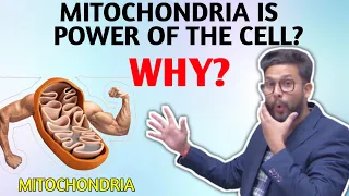 Why Mitochondria Is Known as Power House of Cell ? | Science ka Funda Video Series | JR Talks |