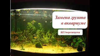 Секреты замены грунта в действующем аквариуме без перезапуска