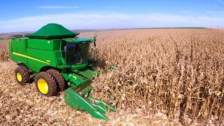 Primeiras impressões na colheita do milho safrinha 2024