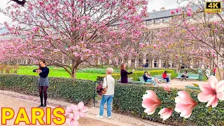 Paris, France 🇫🇷 - Paris Printemps 2024 | Paris Spring Walk 4K (▶1h14 min)