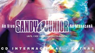 Sandy e Junior - Until I See You Again (Instrumental)