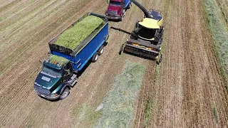 Life on the farm - Chopping Triticale and Covering The Trench