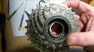 Freewheel stripdown and rebuild