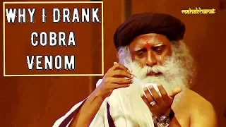 Sadhguru -" Why I Drank Cobra Venom?"