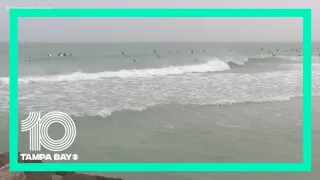 Surfers riding the waves in Sarasota as Elsa continues approach