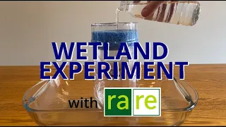 Nature Activity: Wetland Experiment