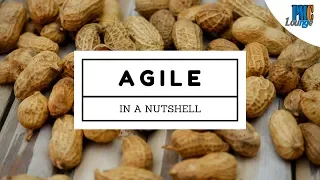 What is Agile Software Development? | Is Agile a Methodology? | Basics of Agile