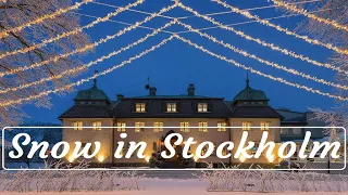 ❄️️🇸🇪 First snow in Stockholm / Sweden / 4K